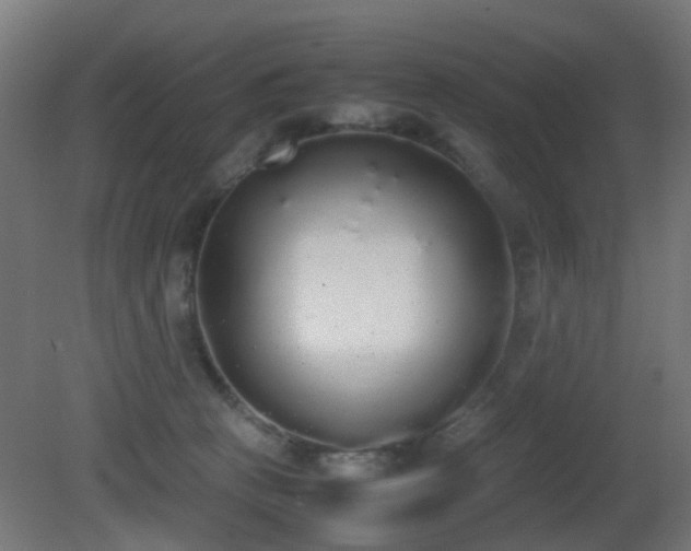 X0000081270273200701111314