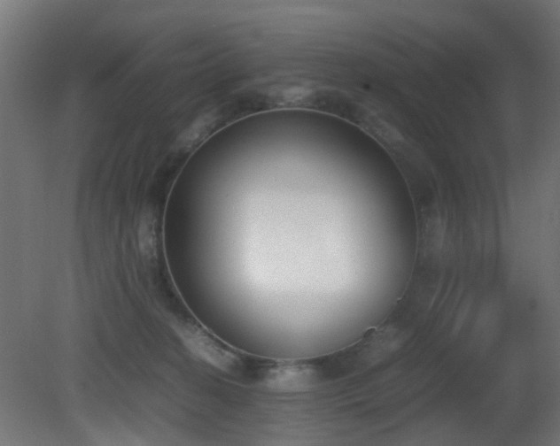 X0000081270274200701111314