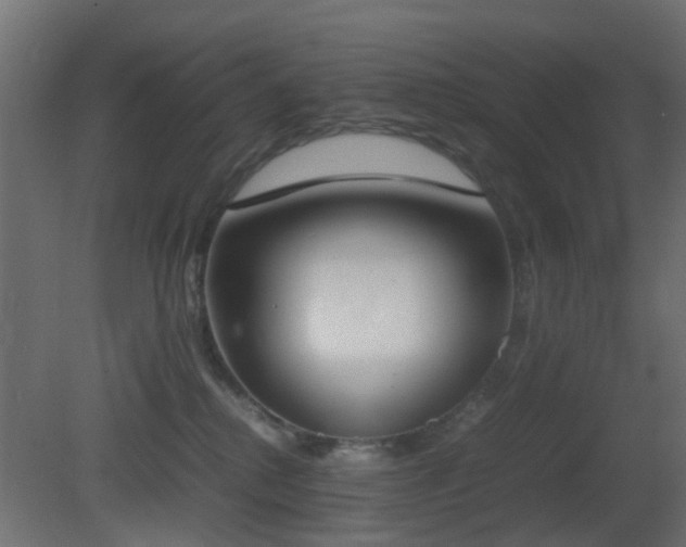 X0000081270280200701111314