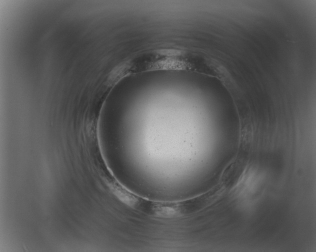 X0000081270285200701111314