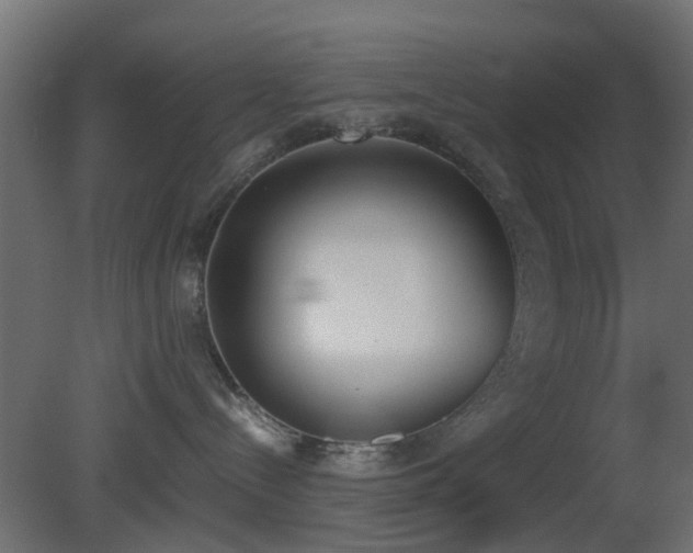 X0000081270288200701111314