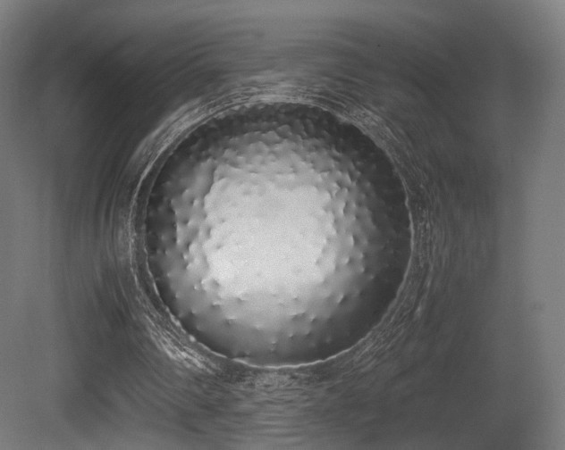 X0000081270290200701111313