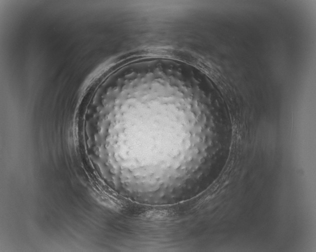X0000081270294200701111313