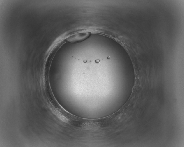 X0000081270296200701111313