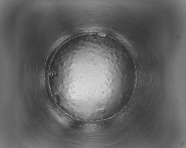 X0000081270298200701111313