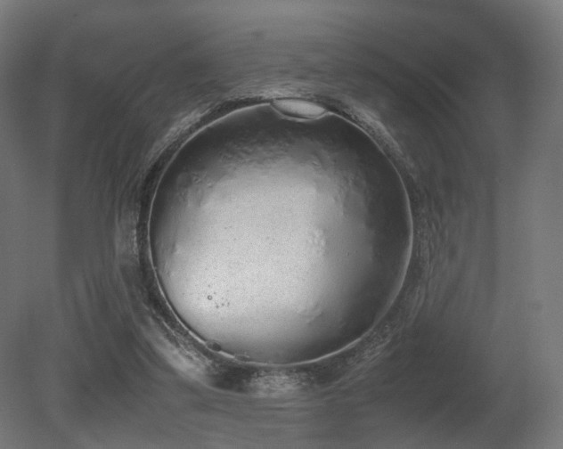 X0000081270299200701111313