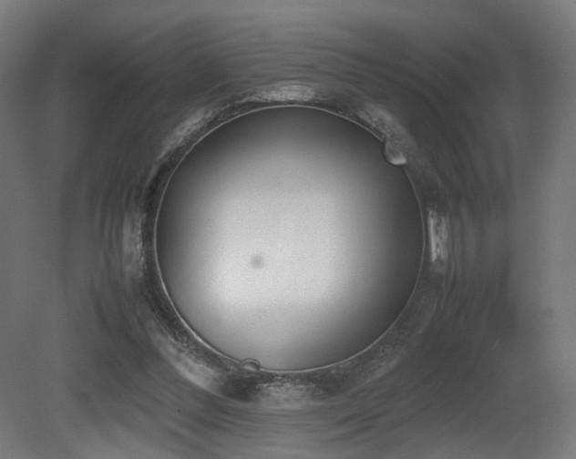 X0000081270300200701111313