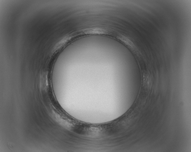 X0000081270302200701111313