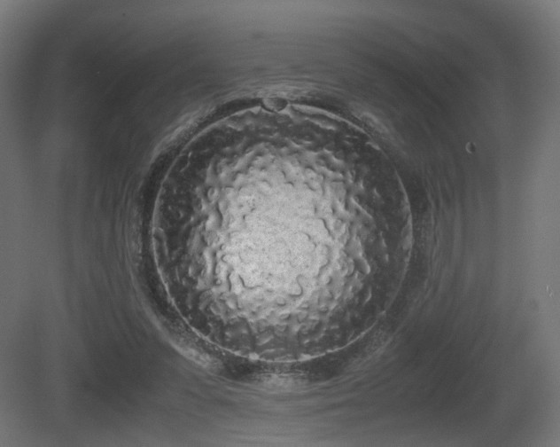 X0000081270303200701111313