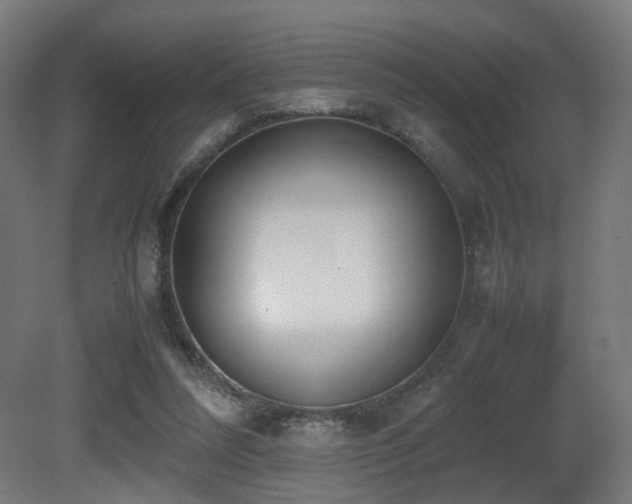 X0000081270304200701111313