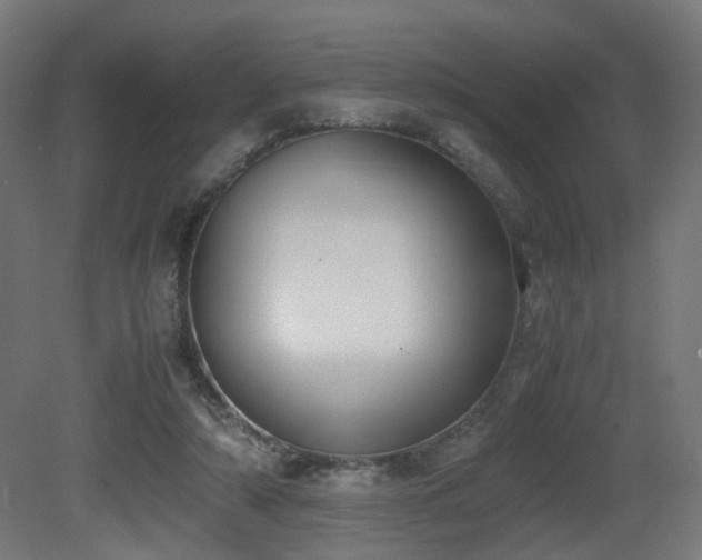 X0000081270306200701111313