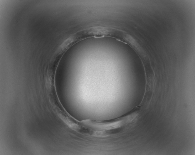 X0000081270309200701111313