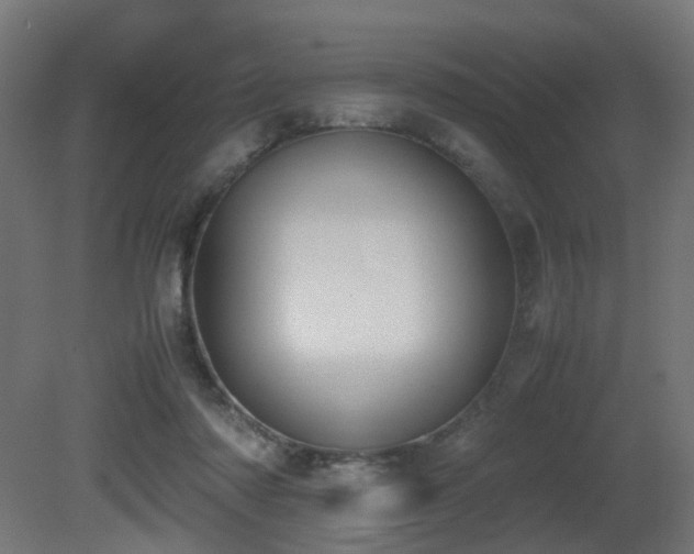 X0000081270310200701111313