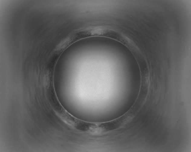 X0000081270311200701111313