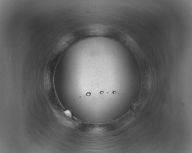 X0000081270312200701111313