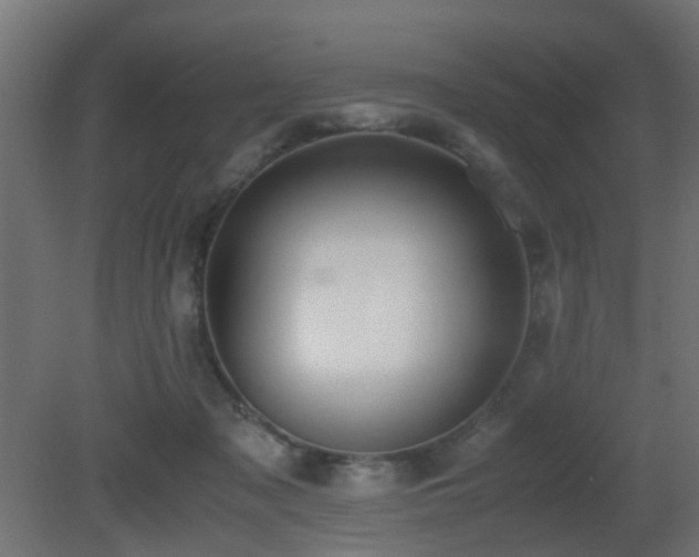 X0000081270317200701111313