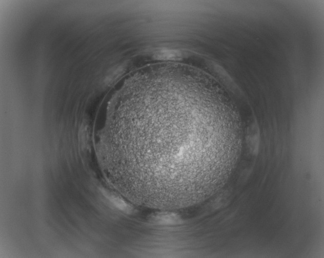 X0000081270322200701111313
