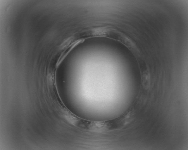 X0000081270329200701111313