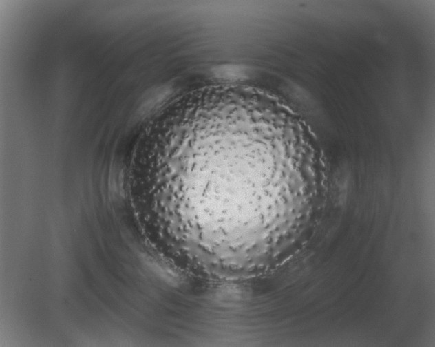 X0000081270330200701111313