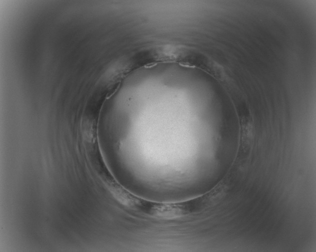 X0000081270331200701111313