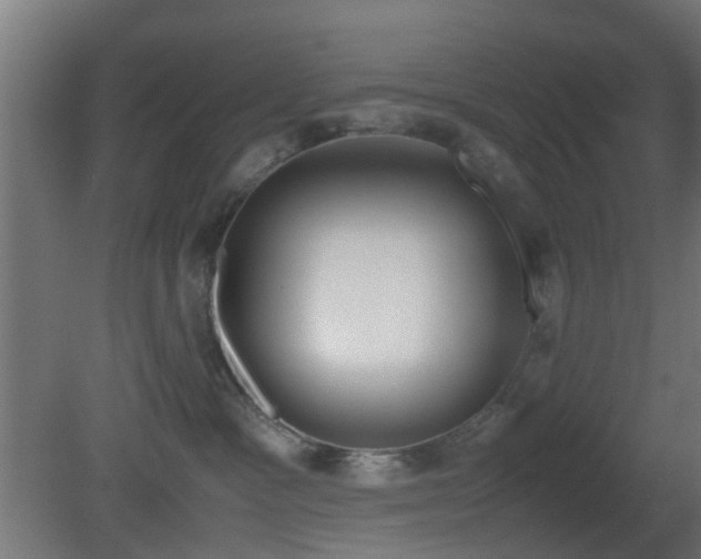 X0000081270333200701111312