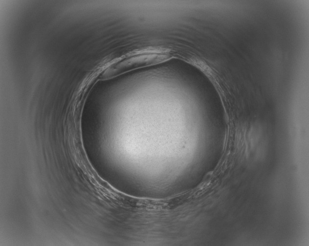 X0000081270337200701111312