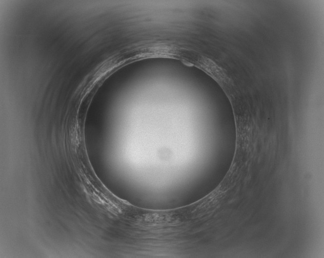 X0000081270338200701111312
