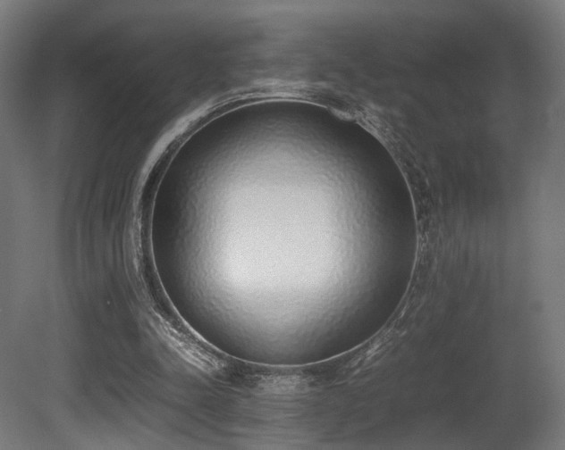 X0000081270342200701111312