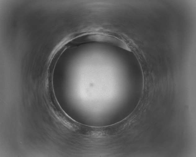 X0000081270344200701111312