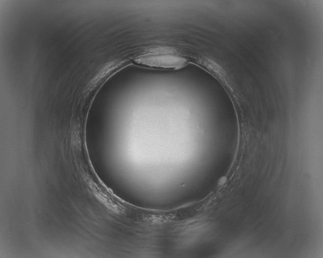 X0000081270345200701111312