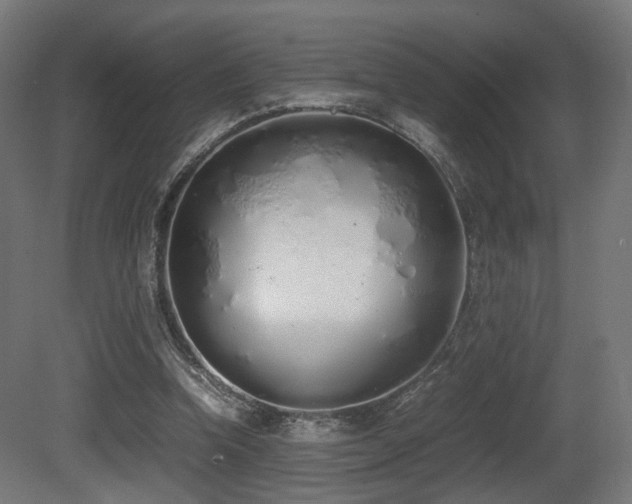 X0000081270346200701111312