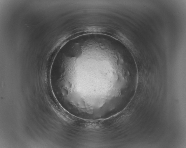 X0000081270347200701111312