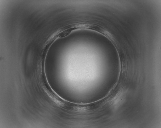 X0000081270349200701111312