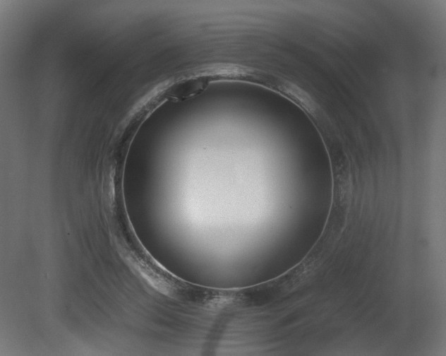X0000081270350200701111312