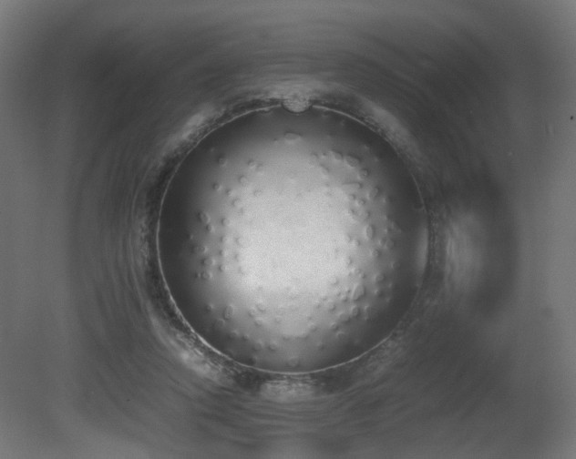 X0000081270354200701111312