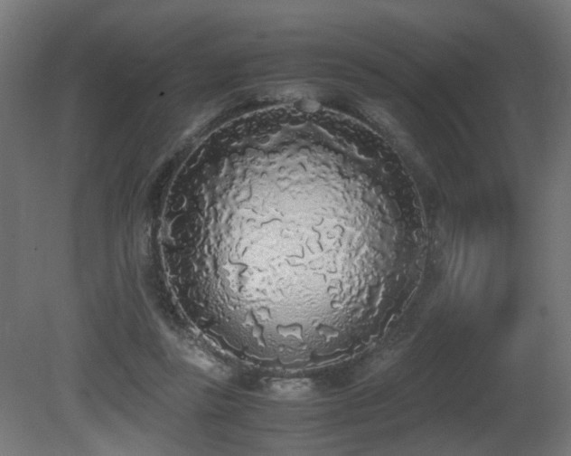 X0000081270355200701111312