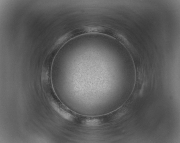 X0000081270357200701111312