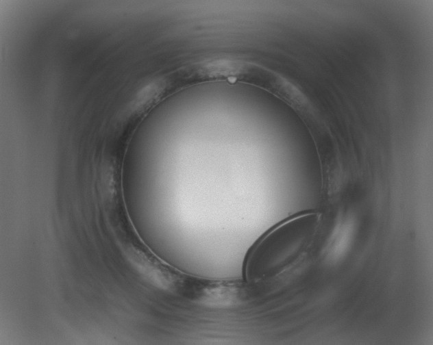 X0000081270362200701111312