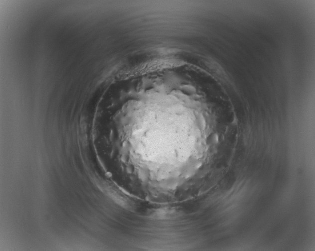 X0000081270366200701111312