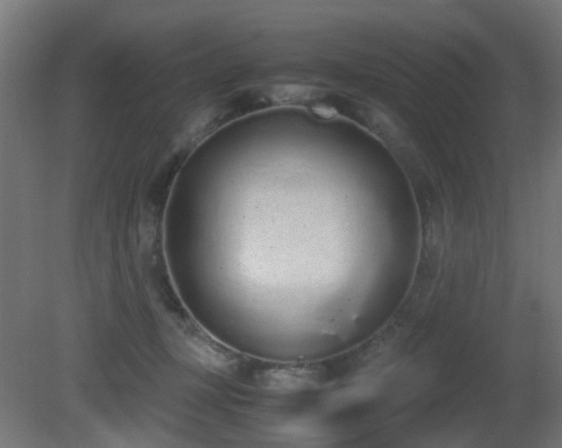 X0000081270367200701111312