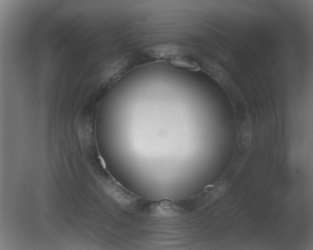 X0000081270372200701111312