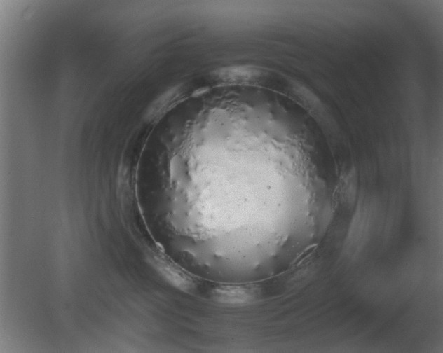 X0000081270381200701111312