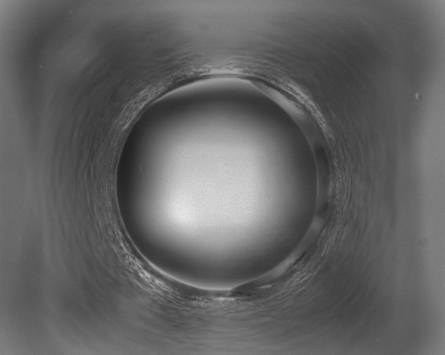 X0000081270385200701111312
