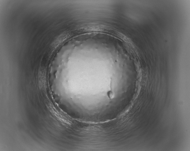X0000081270386200701111312