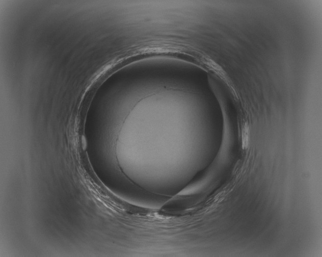 X0000081270387200701111312