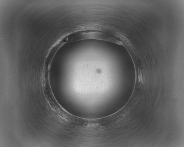 X0000081270388200701111312