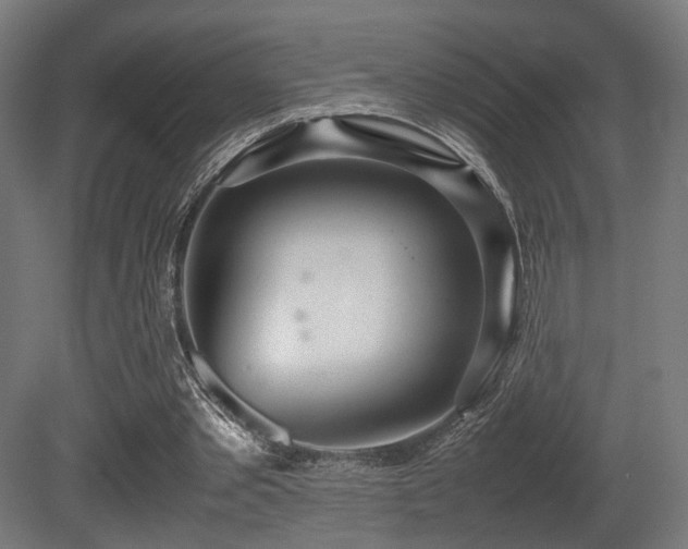X0000081270389200701111312