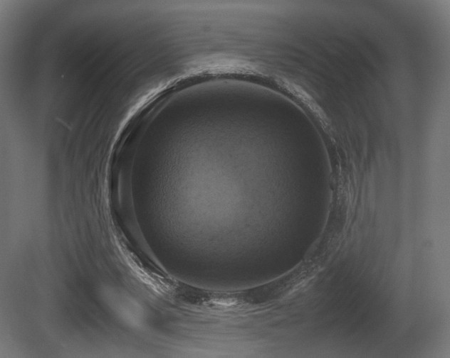 X0000081270391200701111312