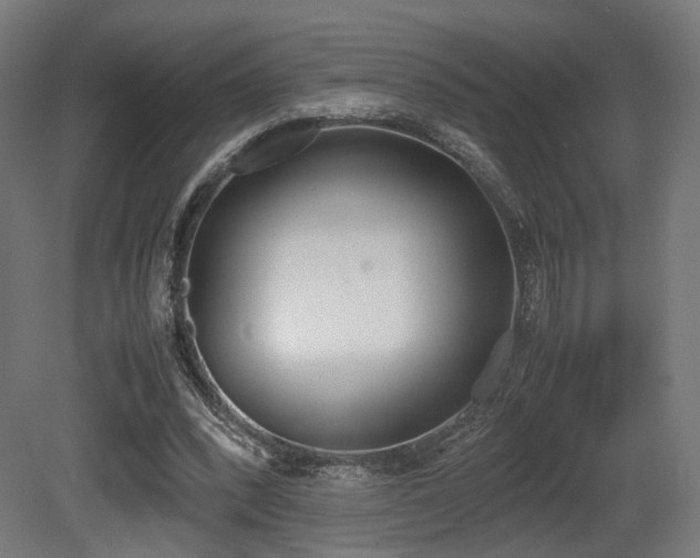 X0000081270392200701111311