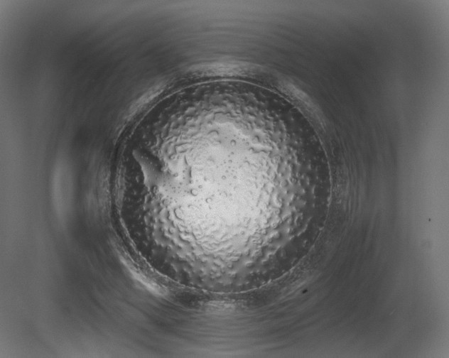 X0000081270394200701111311